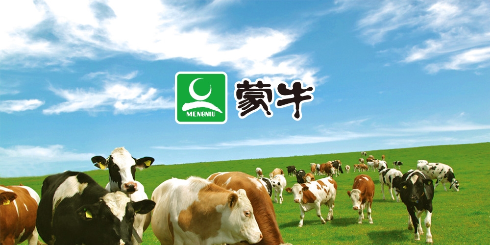 北京品牌設計_北京VI設計_北京包裝設計_高瑞品牌設計